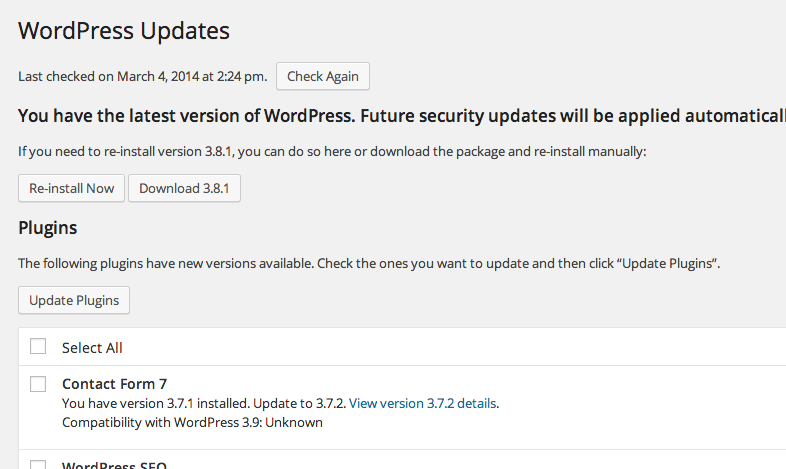 WordPress Updates